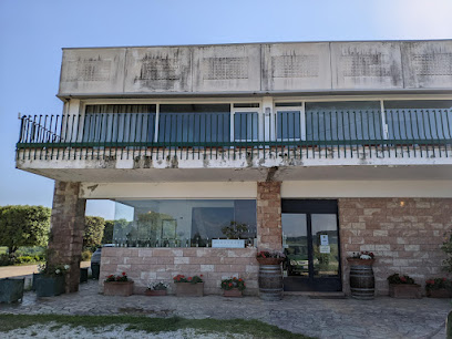 Cantina Barberani, vicino a Orvieto primi assaggi del 2024, foto da sito