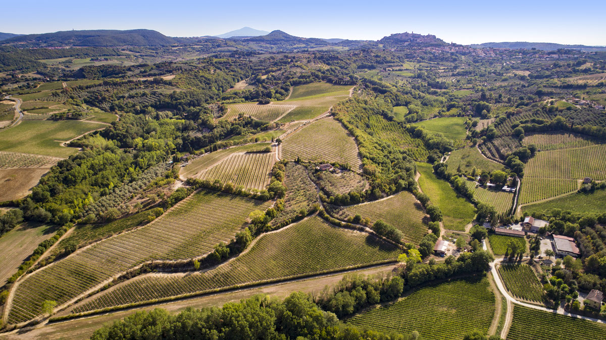 Preview Vino Nobile di Montepulciano 2024: tour of the senses, photo by site