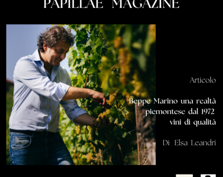 Beppe Marino una realtà piemontese dal 1972 vini di qualità