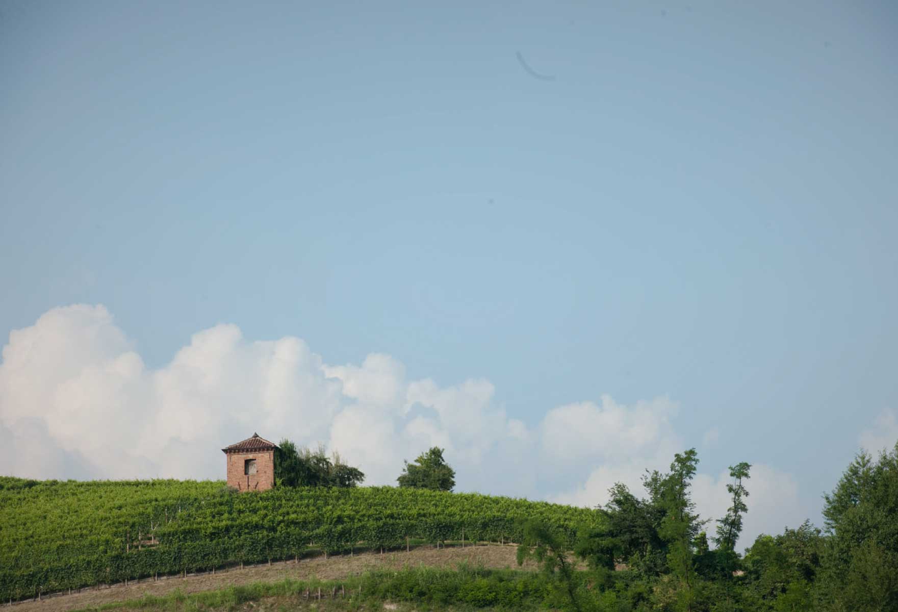 Marco Porello e il suo Asti che incanta i palati dal 1994, foto vigneti da sito