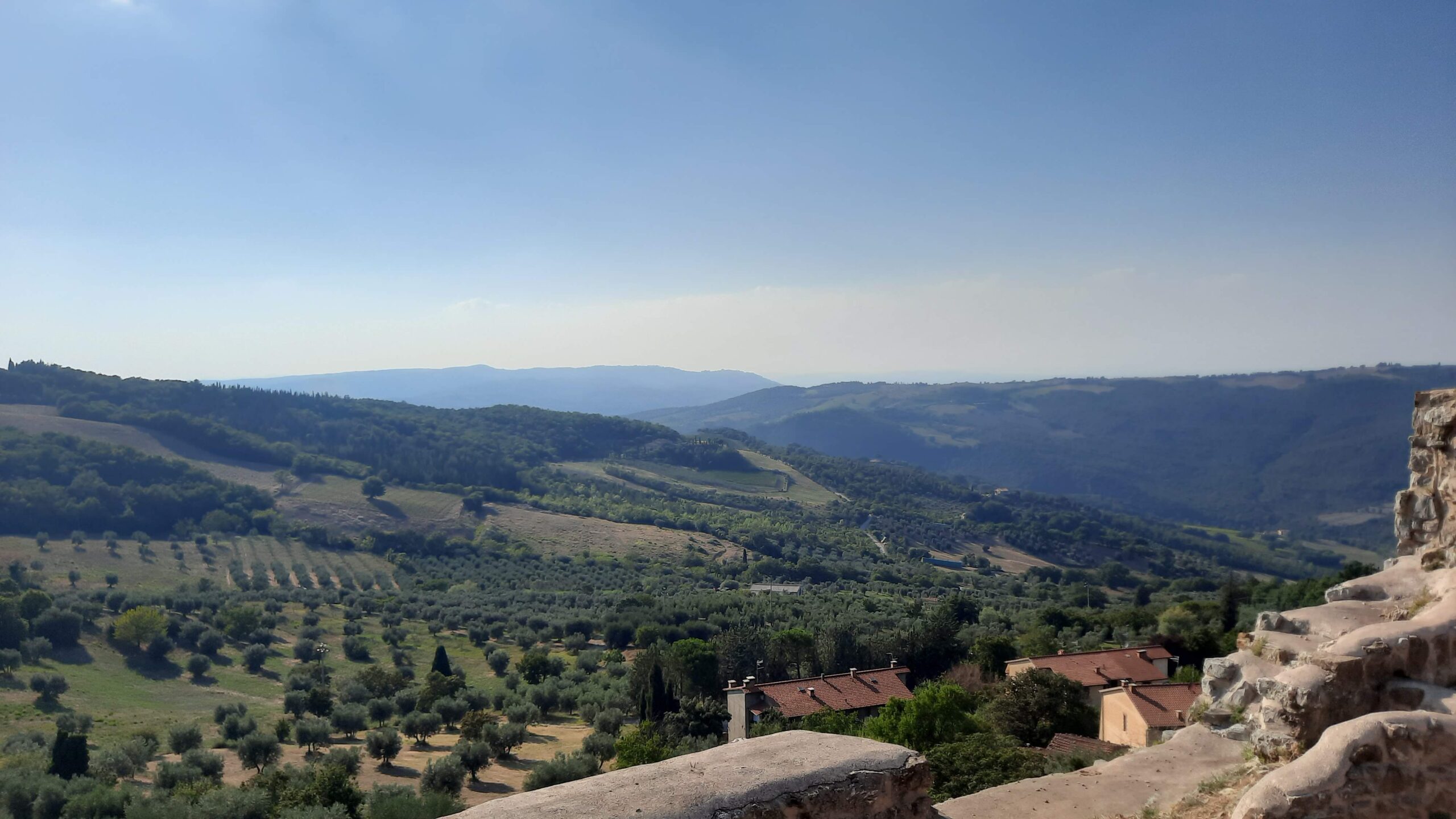 WineeSiena in scena con grandi novità a gennaio 2024, foto dell'autore