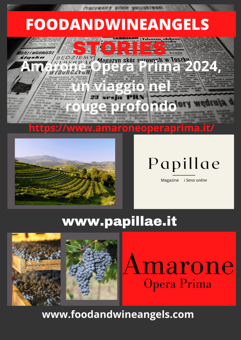 Amarone Opera Prima 2024, un viaggio nel rouge profondo