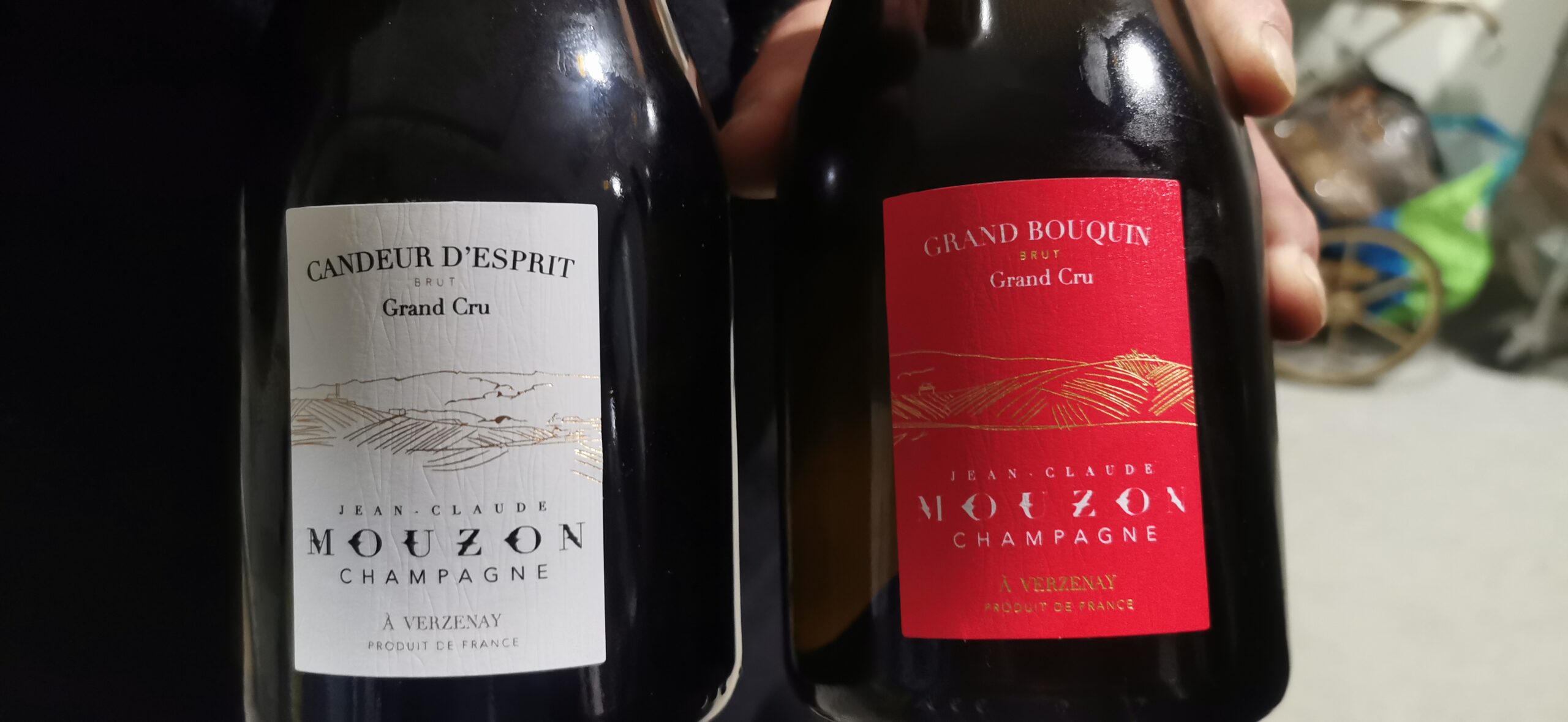 Candeur D'Esprit e Grand BouquinChampagne Jean Claude Mouzon, articolo e foto dell'autrice: Elsa Leandri in Champagne 2024, seconda tappa a Verzenay