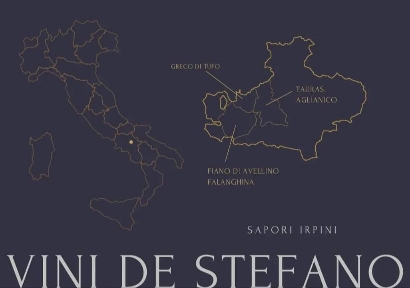 Vini De Stefano 2024, nei calici assaggi sensoriali campani, foto autrice, Tesori enologici d’Irpinia: le creazioni della Cantina Vini De Stefano