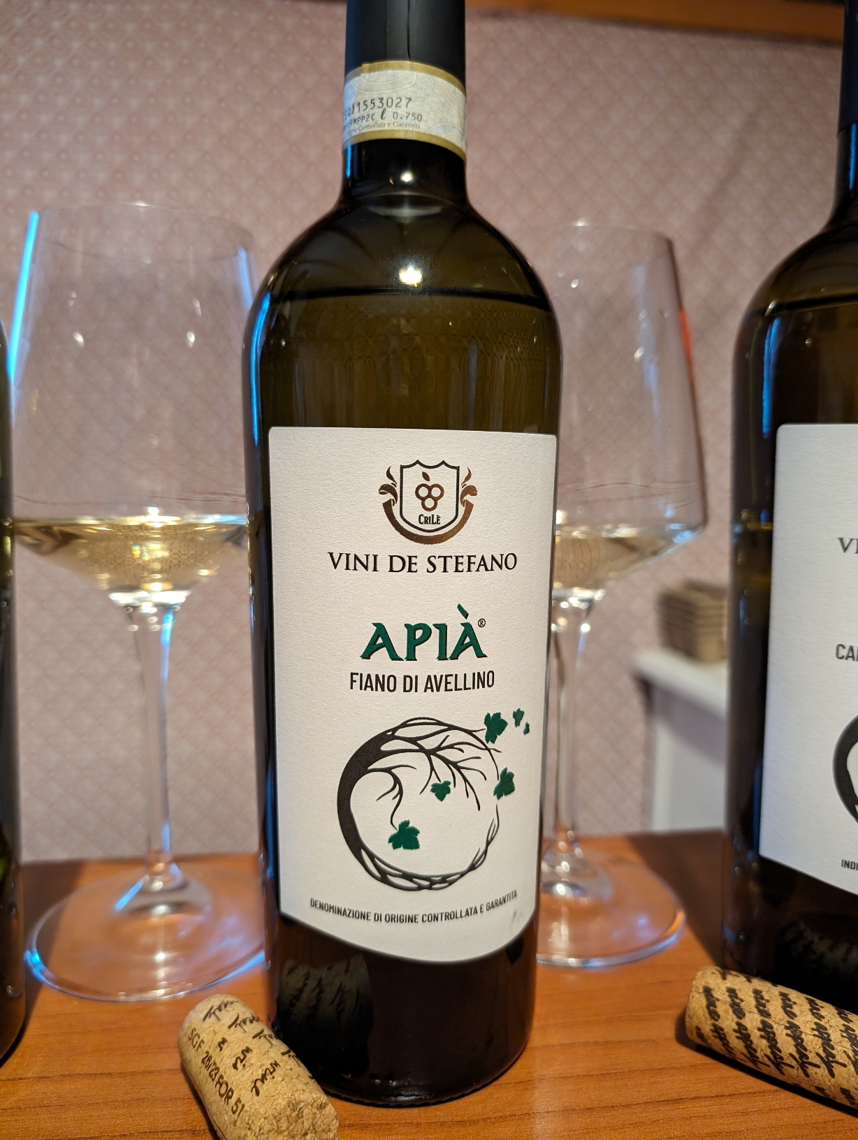 Vini De Stefano 2024, nei calici assaggi sensoriali campani, foto autrice, Tesori enologici d’Irpinia: le creazioni della Cantina Vini De Stefano