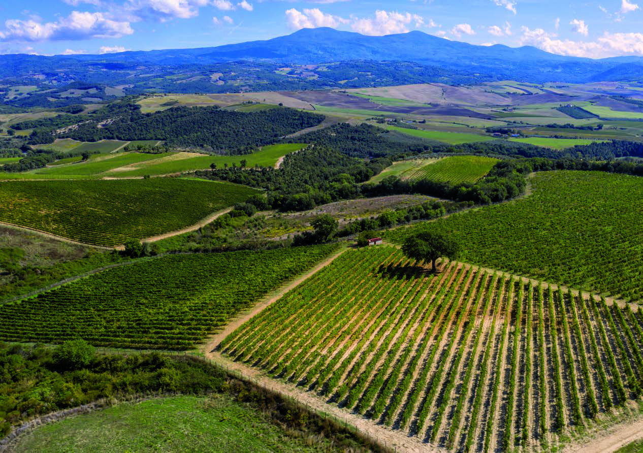 Tenuta Poggio degli Ulivi, viaggio a Montalcino 2024, foto da sito dei vigneti