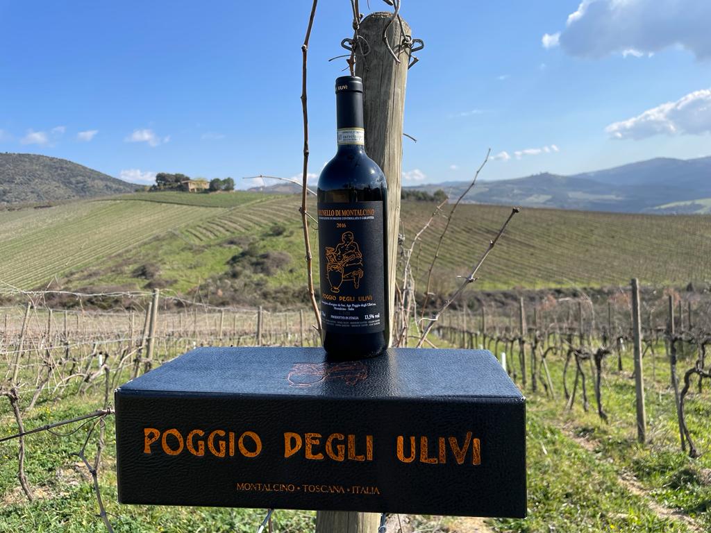 Tenuta Poggio degli Ulivi, viaggio a Montalcino 2024, foto dell'autrice dei vigneti